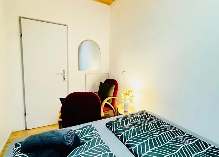 Comfortable 4br For 12 Close To Fac Platz Vienna