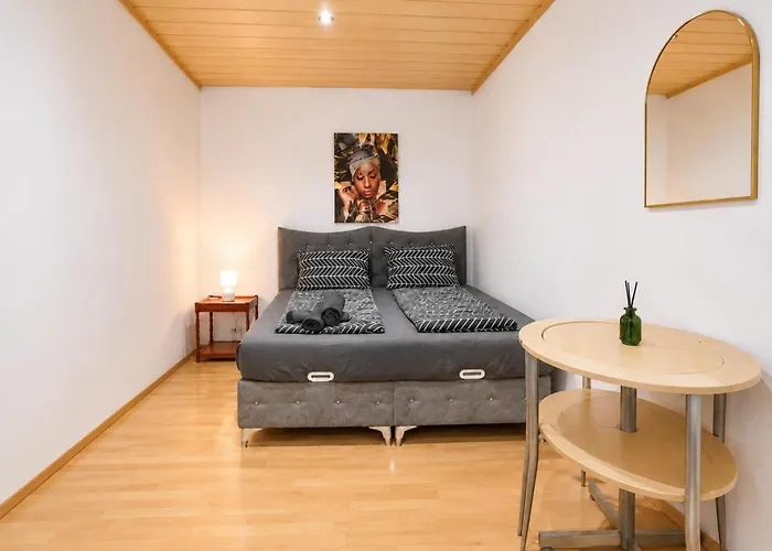 Comfortable 4br For 12 Close To Fac Platz Vienna