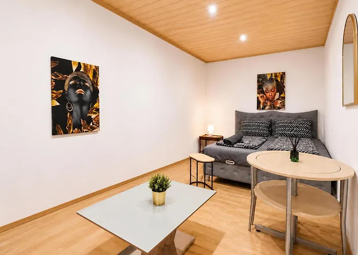 Comfortable 4br For 12 Close To Fac Platz * Vienna