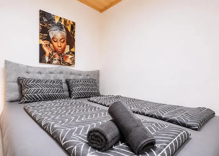 Comfortable 4br For 12 Close To Fac Platz Apartment Vienna